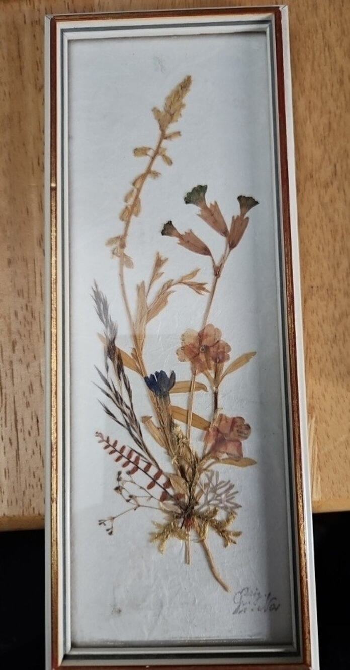 Original Framed Dried Flowers 7.5/21 Vintage Made in East Germany In The 1950's.